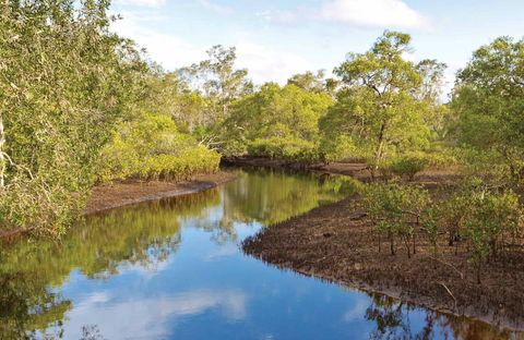 Canoe Evans River Paddle Route - New South Wales Tourism  0