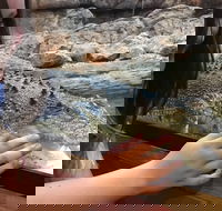 Canberra Reptile Zoo - New South Wales Tourism 