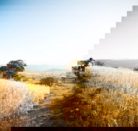 Canberra Centenary Trail - New South Wales Tourism 