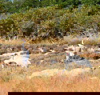 Cape Keraudren Nature Reserve - New South Wales Tourism 