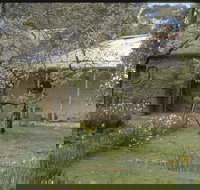 Castlemaine Diggings National Heritage Park - New South Wales Tourism 