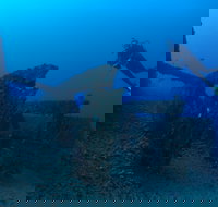 Cementco Dive Site - New South Wales Tourism 