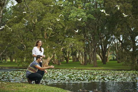 Centennial Parklands - New South Wales Tourism  0