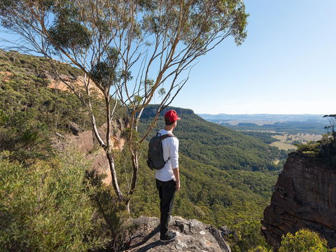 Centennial Glen - New South Wales Tourism  0