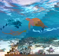 Coral Bay - New South Wales Tourism 