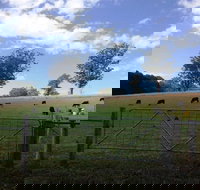 Coramba - New South Wales Tourism 