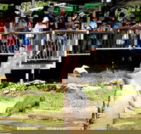 Crocodylus Park and Zoo - New South Wales Tourism 