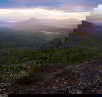 Cunninghams Gap and Spicers Gap Main Range National Park - New South Wales Tourism 