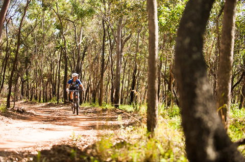 Davies Creek Mountain Bike Park - New South Wales Tourism  1
