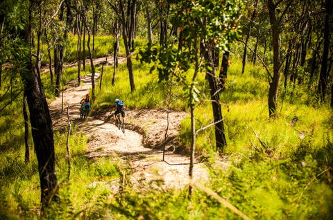 Davies Creek Mountain Bike Park - New South Wales Tourism  2