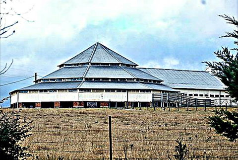 Deeargee Woolshed - New South Wales Tourism  0