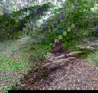 Double Wharf Trail - New South Wales Tourism 
