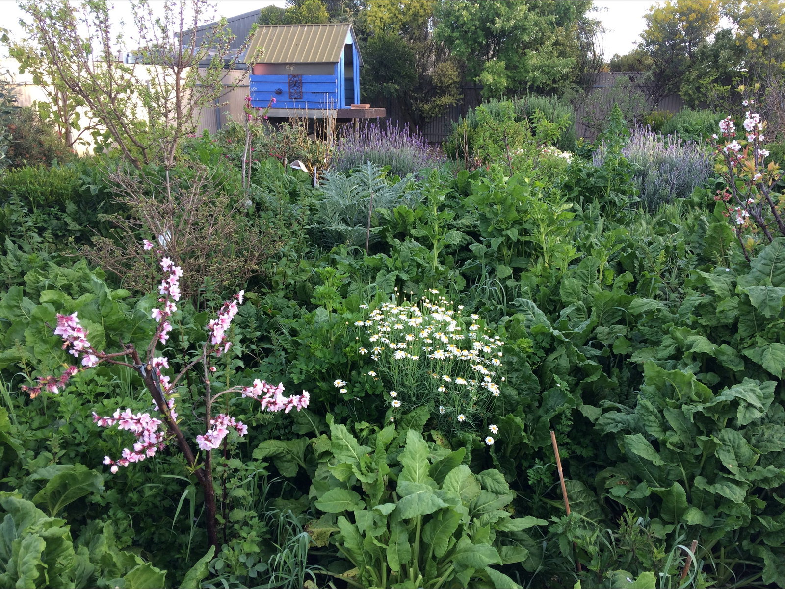  New South Wales Tourism 