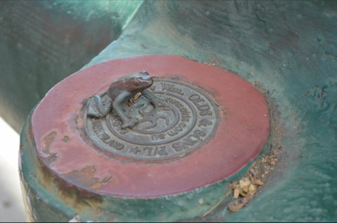 Ellena Street Pavement Art And Sculpture - New South Wales Tourism  2