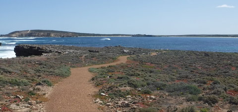 Elliston Coastal Trail - New South Wales Tourism  0