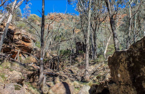 Eualdrie Walking Track - New South Wales Tourism  0