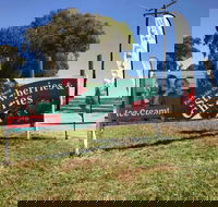 Fairfield Orchard - New South Wales Tourism 