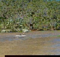 Fitzpatrick Park - New South Wales Tourism 