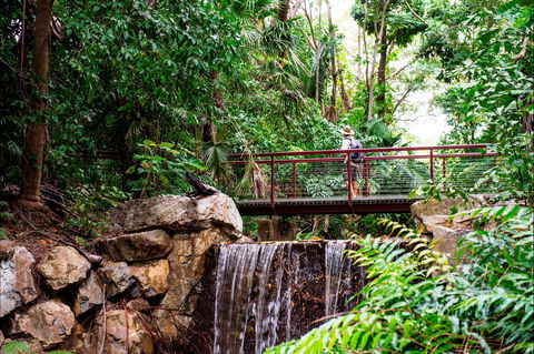 George Brown Darwin Botanic Gardens - New South Wales Tourism  0