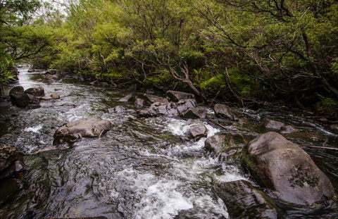 Gloucester River Walking Track - New South Wales Tourism  0