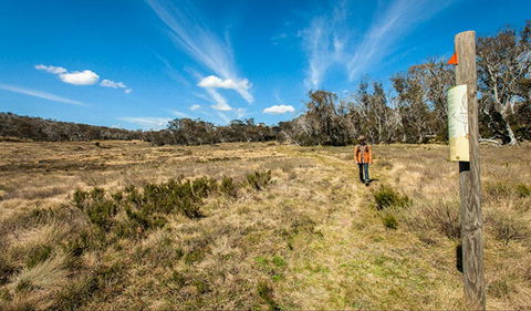 Goldseekers Track - New South Wales Tourism  0