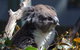 Gorge Wildlife Park - thumb 0