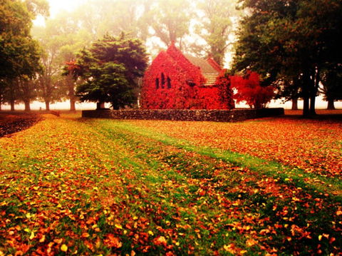 Gostwyck Chapel - New South Wales Tourism  0