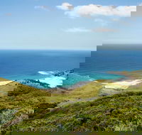 Governor Game Lookout - New South Wales Tourism 