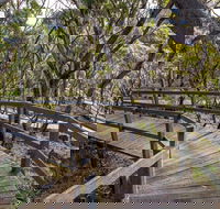 Governor Summit Corrunbral Borawah Walking Track - New South Wales Tourism 