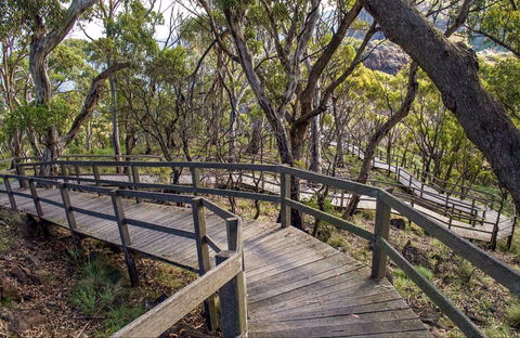 Governor Summit (Corrunbral Borawah) Walking Track - New South Wales Tourism  0
