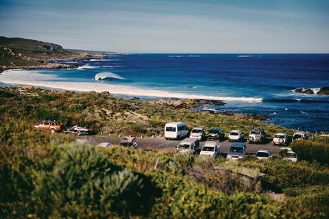Gracetown - New South Wales Tourism  0