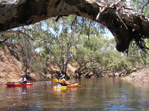 Greenough River Nature Trail - New South Wales Tourism  1