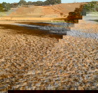 Gunning Golf Club - New South Wales Tourism 
