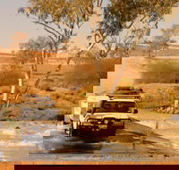 Innamincka Regional Reserve - New South Wales Tourism 