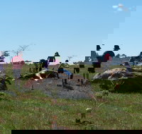 Jim Salmon  Wetland Education Site - New South Wales Tourism 