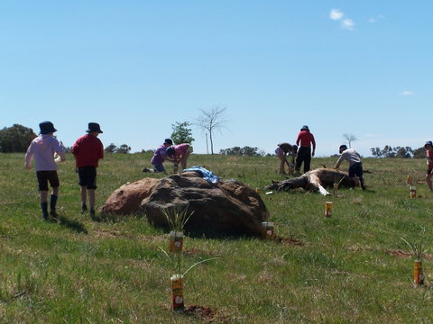 Jim Salmon  Wetland Education Site - New South Wales Tourism  0