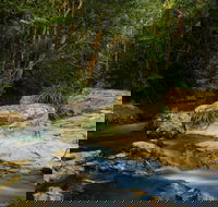 Jumrum Creek Walk Jumrum Creek Conservation Park - New South Wales Tourism 