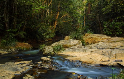 Jumrum Creek Walk, Jumrum Creek Conservation Park - New South Wales Tourism  0
