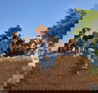 Katherine Outback Experience - New South Wales Tourism 