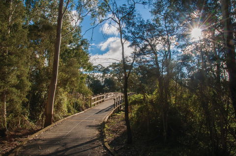 Koomba Park - New South Wales Tourism  0