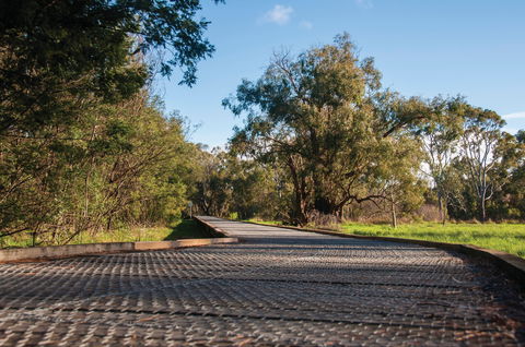 Koomba Park - New South Wales Tourism  1