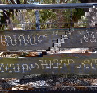 Kuriong Sheep Station - New South Wales Tourism 