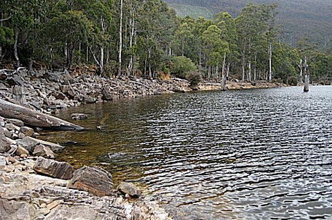 Lake Rowallan - New South Wales Tourism  1