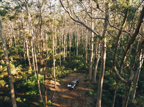 Leeuwin-Naturaliste National Park - Cowaramup - New South Wales Tourism  0