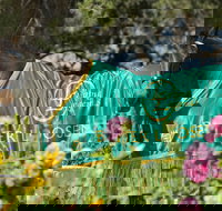 Living Legends The International Home of Rest for Champion Horses - New South Wales Tourism 