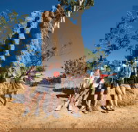 Magnetic Termite Mounds - New South Wales Tourism 