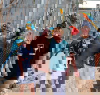 Maleny Botanic Gardens and Bird World - New South Wales Tourism 