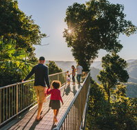 Mamu Tropical Skywalk - New South Wales Tourism 