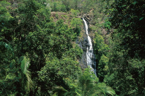 Mapleton Falls National Park - New South Wales Tourism  0