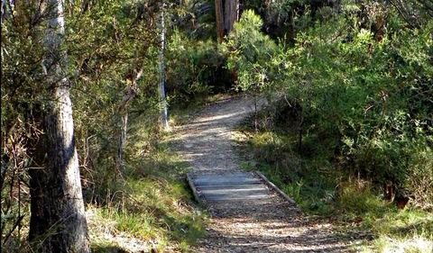 McDirtys Walking Track - New South Wales Tourism  0